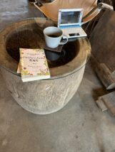 アルジャーノンに花束を